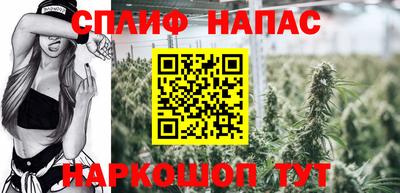 СК Тара