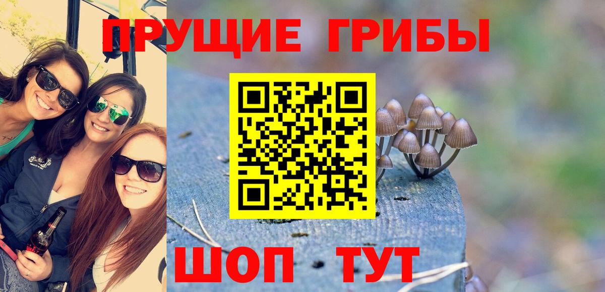 Миллерово  Галлюциногенные грибы Cubensis  хочу наркоту  Псилоцибиновые грибы Magic Shrooms  Вход с VPN 