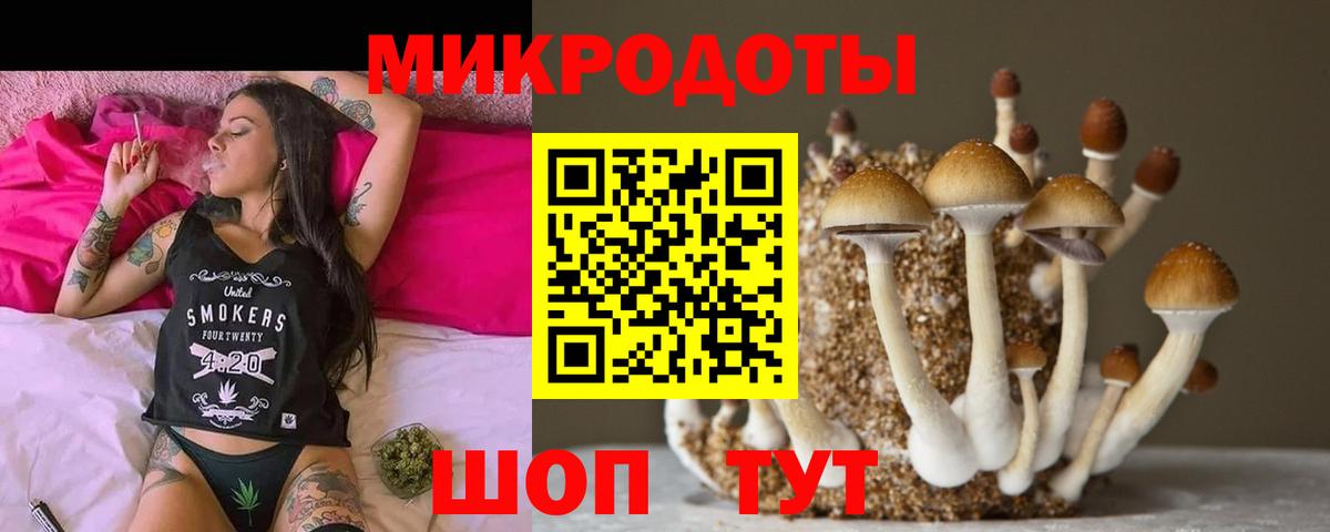 Псилоцибиновые грибы Psilocybine cubensis Миллерово